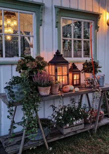 little outdoor magic to brighten up the evening.🌿🌿