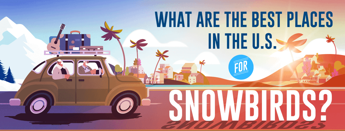 What Are the Best Places in the U.S. for Snowbirds? infographicjournal.com/what-are-the-b…