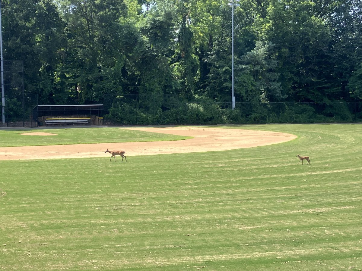 Everyone is heading up to Yorktown for the first day of tryouts today.