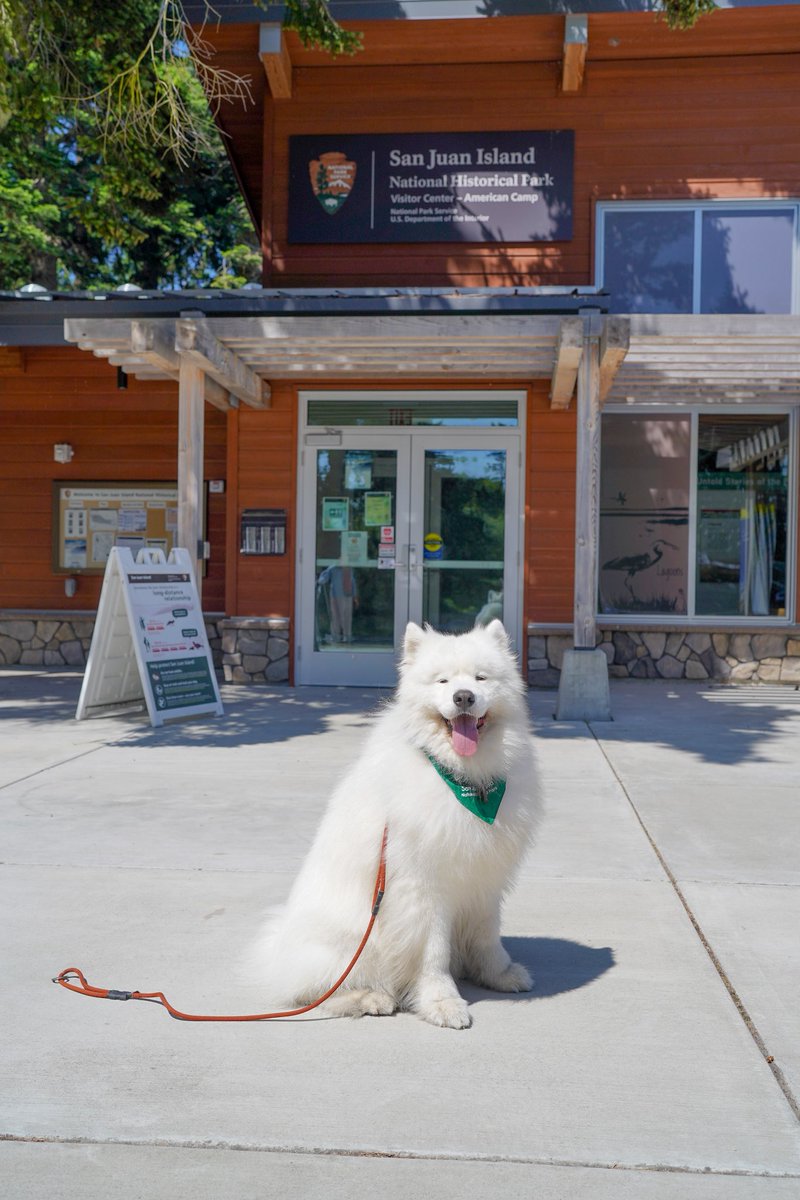 🐾 Did you know your dog can become an official BARK Ranger at San Juan Island National Historical Park?

As a BARK Ranger, you and your pup will learn how to explore the park safely and responsibly. 🐶

📸 Theo and Olaf @olafthesnowbear