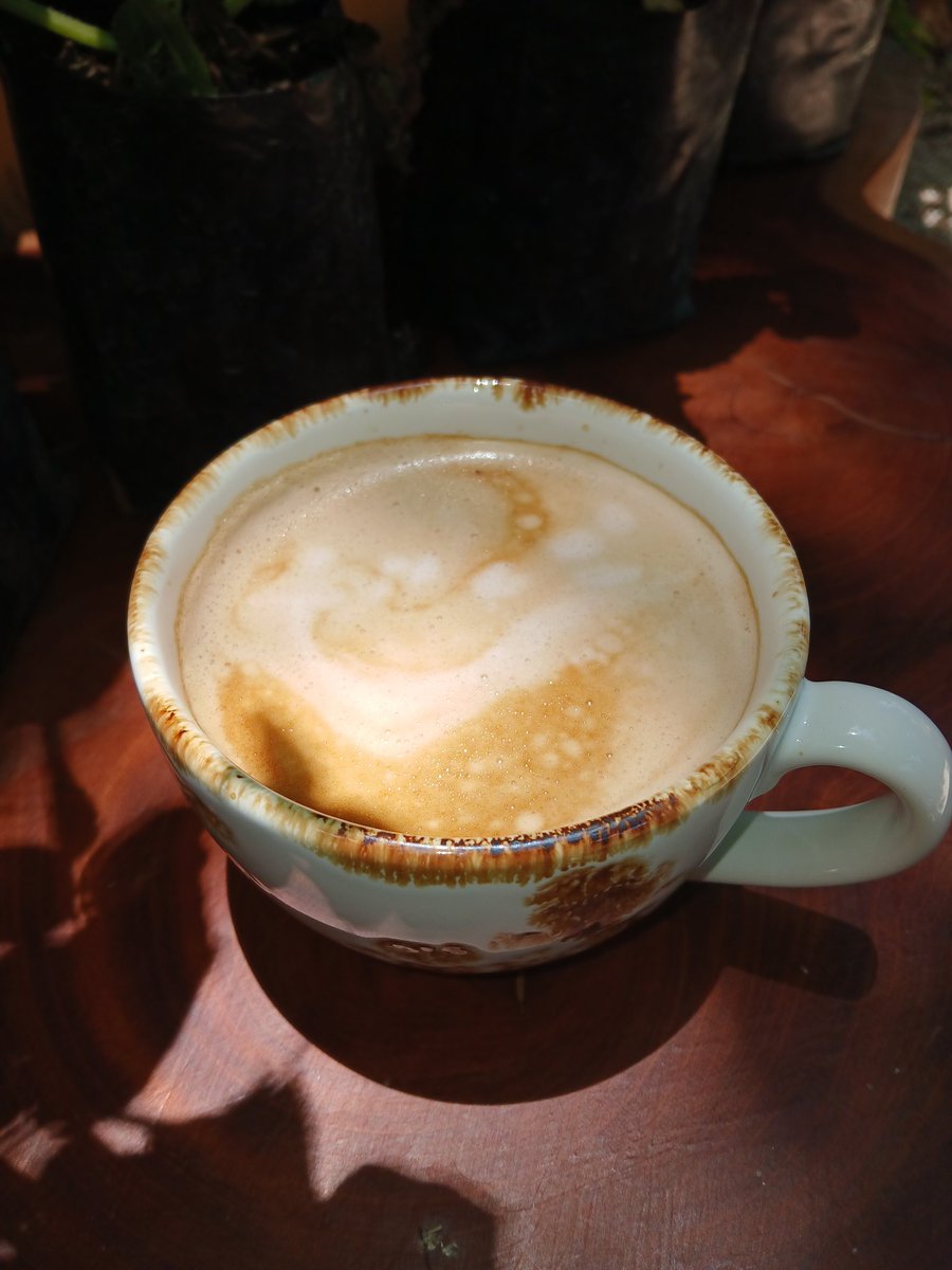 In nature, the Coffee plant puts out poison through its roots to kill off any nearby plants competing with it.

It dominates its surroundings instead of cohabitating and building relationships.

I feel like consuming coffee has a similar effect; it taps out your adrenal glands