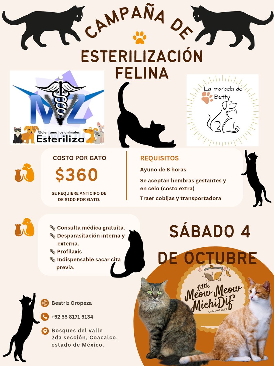 Amigos de coacalco, tultepec y zonas aledañas, vamos a tener campaña ÚNICAMENTE para gatos el 4 de octubre. 
En el MichiDIF se deben esterilizar 14 gatos y también procurarmos apadrinar a gente de bajos recursos para que lleven a sus gatos. 

¿Te gustaría apadrinar? 5565576788