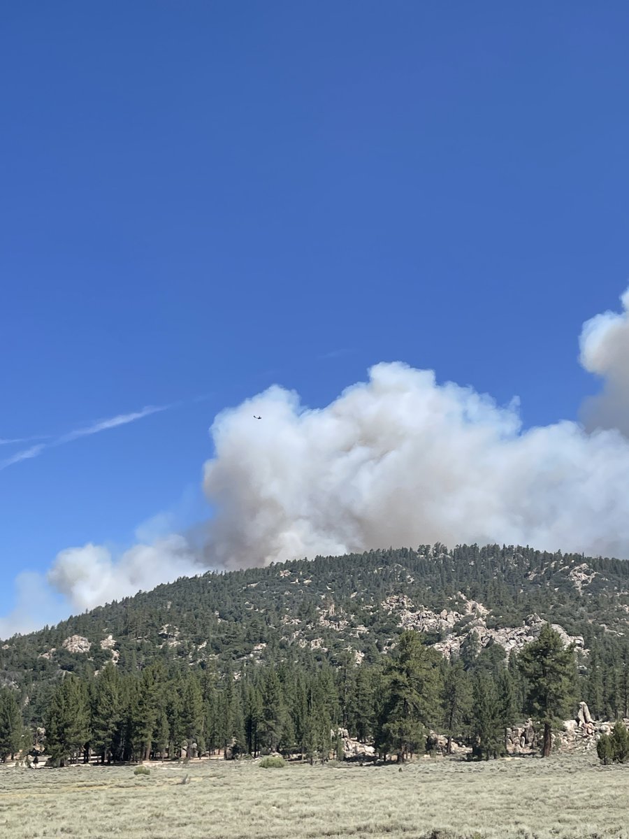 San Bernardino National Forest tweet media