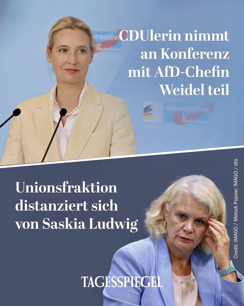 Ein Handschlag, ein Gespräch, das nennt man Dialog und Anstand.
Doch was macht die Unionsfraktion? Statt Größe zu zeigen, knickt sie sofort ein und distanziert sich feige von Saskia Ludwig, nur weil sie es gewagt hat, mit Alice Weidel auf einer Konferenz zu erscheinen. Die Union