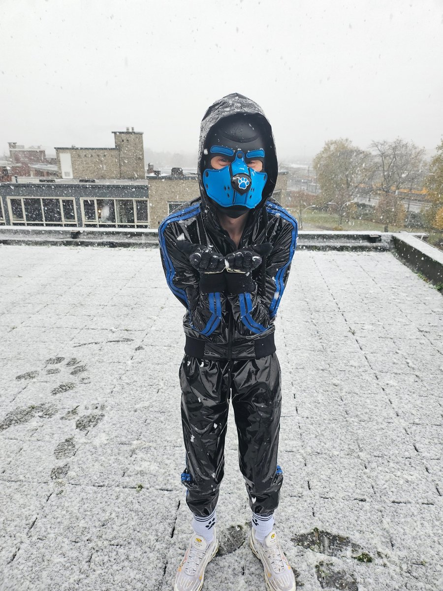 Doubting about going to Folsom ...
Who would like to meet/spend time with me there?🤔🐾