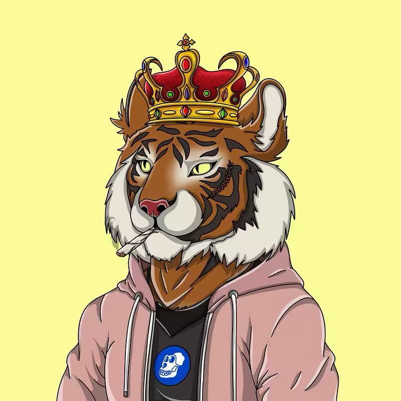 DrSamson 🦍 tweet media