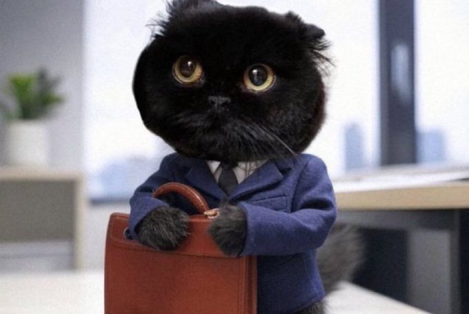 A black cat in a suit holding a briefcase, symbolizing the professional yet innovative nature of Uniswap v4