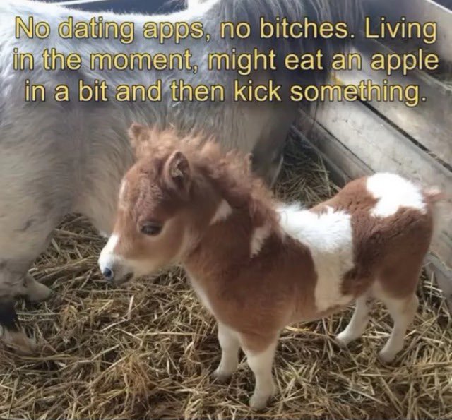 sky (@hannibalbareass) on Twitter photo 