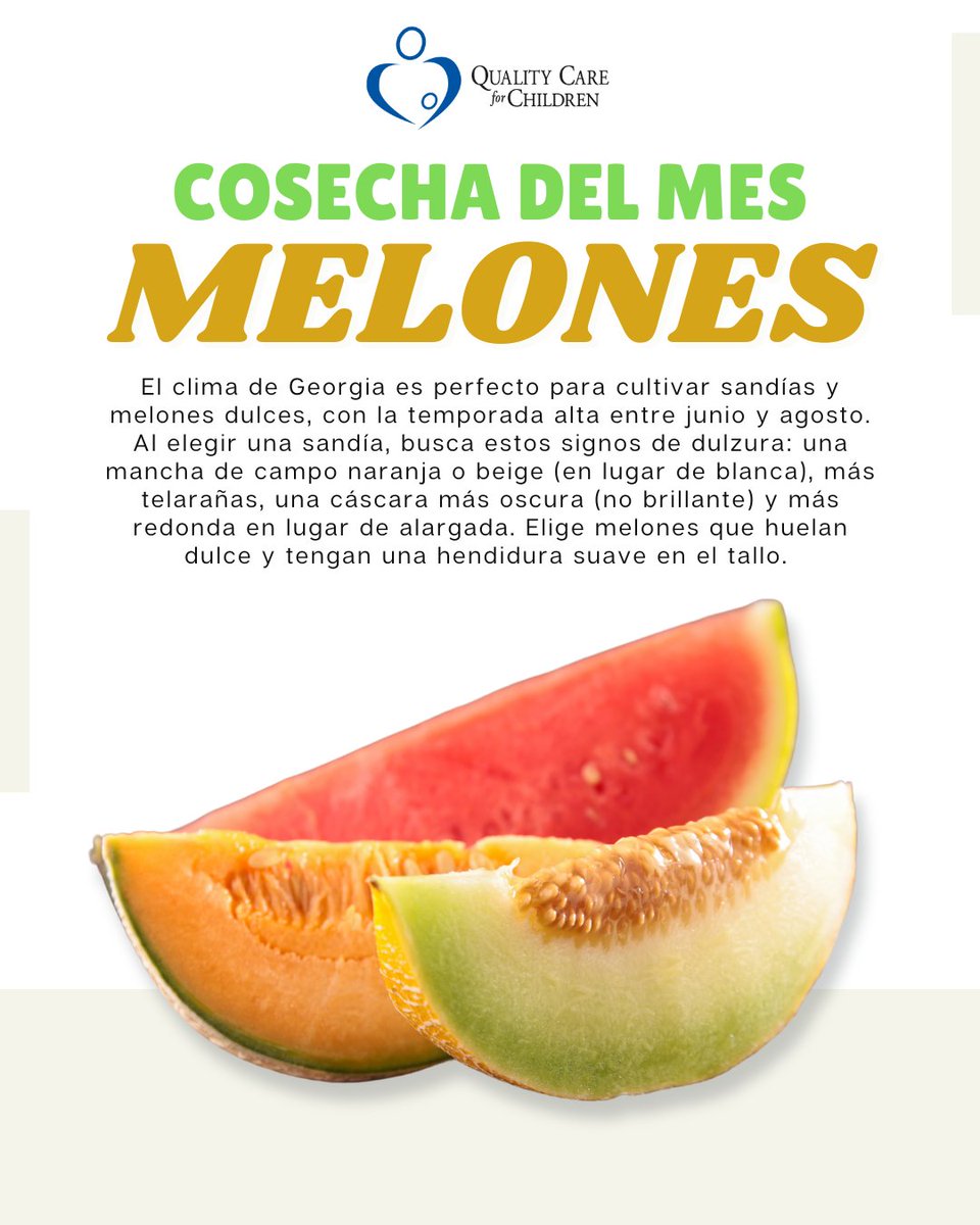 Quality Care for Children tweet media