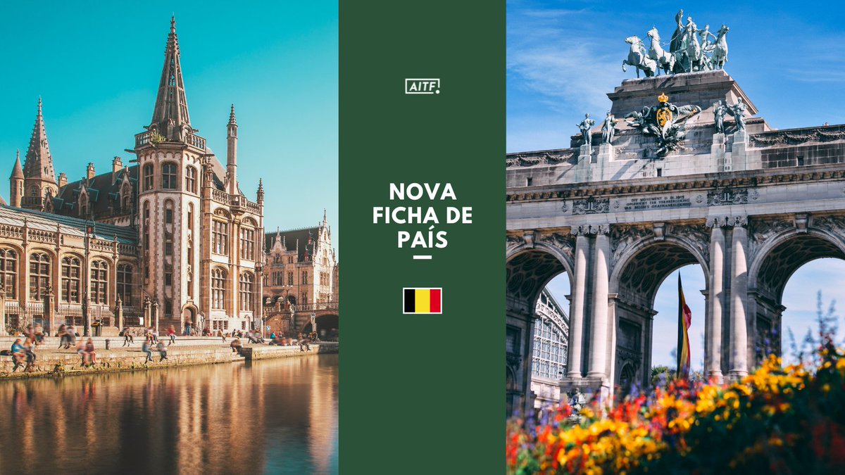 🇧🇪 Já podes consultar a ficha de país da BÉLGICA!

📌 Como treinar no país
📌 Estrutura das ligas
📌 Licenças UEFA
📌 Vida no país: habitação, saúde, segurança
📌 Ligações úteis e conselhos

📲 Lê a ficha completa em aitfut.org
#AITF #Futebol #Treinadores #Bélgica
