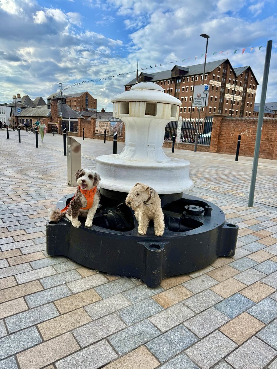 Bertie Lakeland tweet media