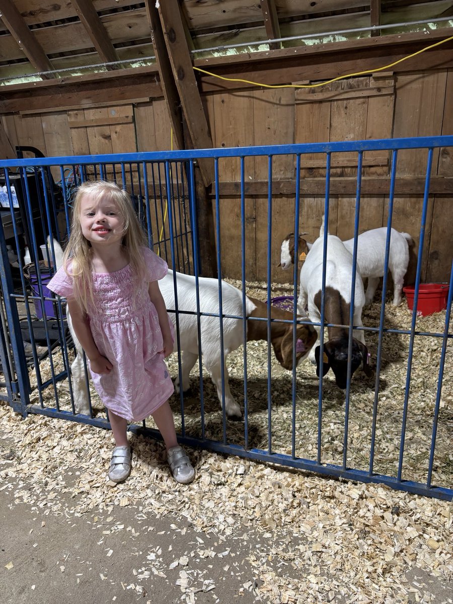 Had a great time at the Union County Fair!

Proud mom moment, Bo took first place in the tractor pull! 🚜💪

Loved seeing all the livestock and visiting with so many friends and neighbors.

Huge thank you to everyone who worked to make it possible!