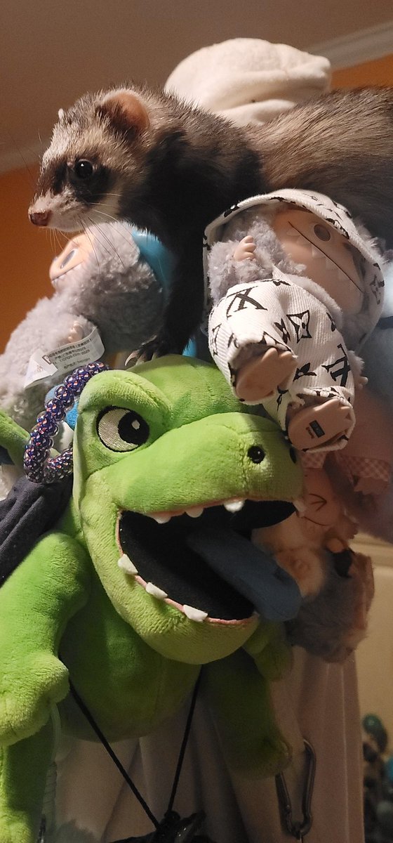 princesstegantx's tweet image. Ummm my keen doggie senses detected a fake plushie...can you spot her.  I believe it&apos;s the same #labubu thief spotted before... #dogsoftwitter #dogsofX #ZSHQ #Chihuahua #ferretsoftwitter #ferret #dogs #dog