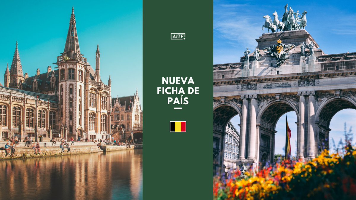 🇧🇪 ¡Ya disponible la ficha de país de BÉLGICA!

📌 Cómo entrenar allí
📌 Sistema de ligas
📌 Licencias UEFA
📌 Vida: vivienda, salud, seguridad
📌 Enlaces oficiales y tips

📲 Lee la ficha completa en aitfut.org
#AITF #Fútbol #Entrenadores #Bélgica