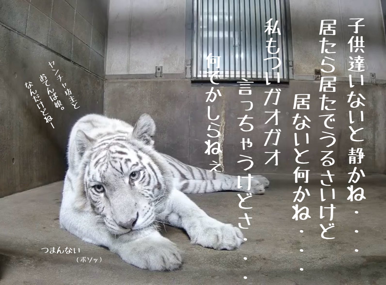 なぉ on X: 