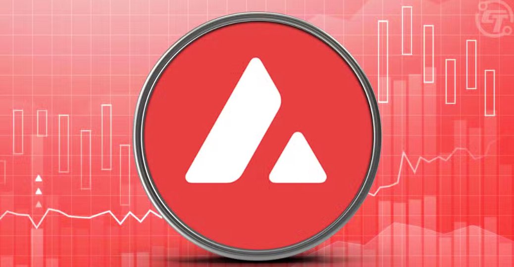 Pound 👊 tweet media