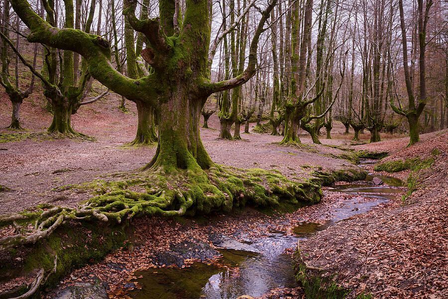 Photography from Asturias, Spain is great way to decorate your walls. #photography #Bilbao #travel #art4sale #artlover #picoftheday #artwork #spain #wallart #buyart #walldecor Please click link for more information and pricing buff.ly/uPftcPD