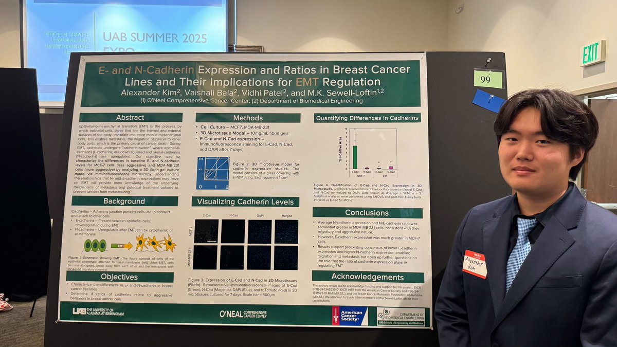 Randall Research Scholars (@ua_rrsp) on Twitter photo RRS sophomore Alexander Kim earned 1st place in Engineering at UAB’s Undergrad Research Expo for research on E- & N-cadherin expression in breast cancer cell lines under Dr. Mary Kathryn Sewell-Loftin, through an internship from the American Cancer Society!
<a href="/bamaengineering/">UA College of Engineering</a> RRS sophomore Alexander Kim earned 1st place in Engineering at UAB’s Undergrad Research Expo for research on E- & N-cadherin expression in breast cancer cell lines under Dr. Mary Kathryn Sewell-Loftin, through an internship from the American Cancer Society!
<a href="/bamaengineering/">UA College of Engineering</a>
