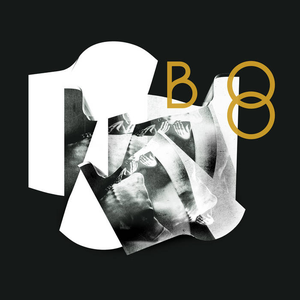 Death in Wait - Dead Leaf Echo