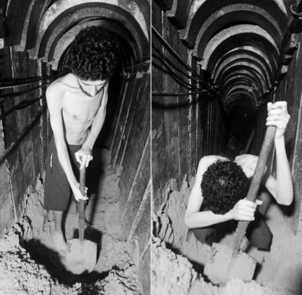 You give him a grave, but expect his elders to give you a State. You suffocate him, yet ask his leaders for freedom. You leave him hungry, yet demand food from his country.