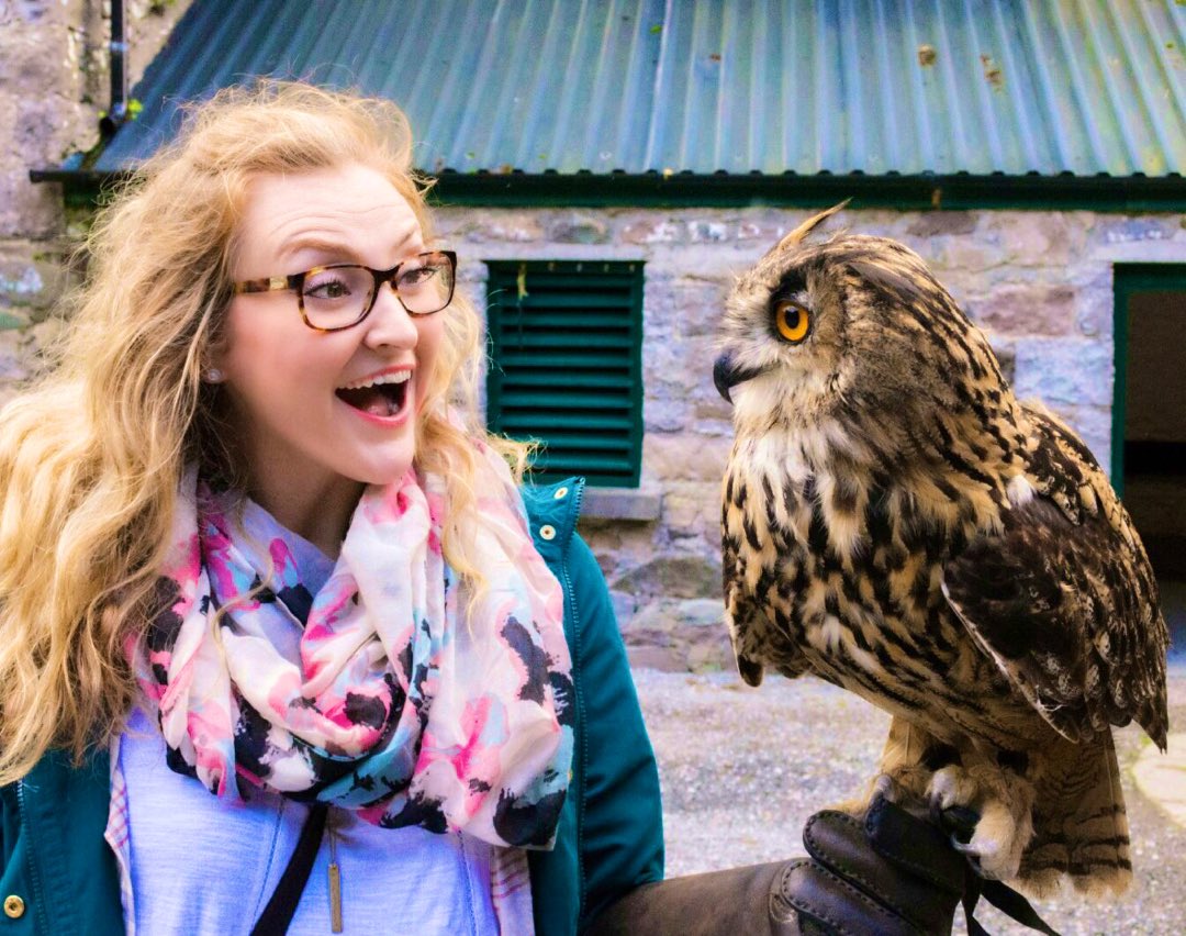 Callie🦖 tweet media