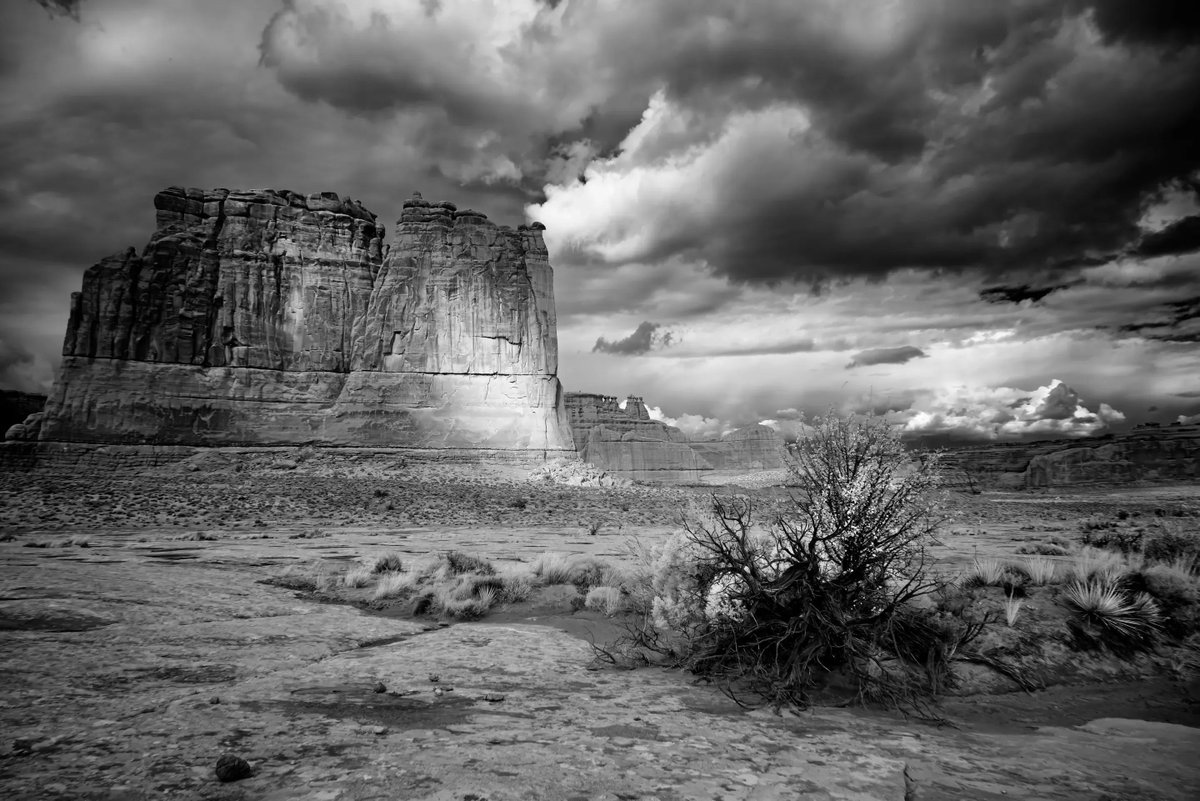Arches National Park is a stunning red rock desert landscape, located in southeast Utah   Click link for info and pricing buff.ly/3OXQ1KA #moab #interiordesign #homedecor #blackandwhitephoto #artwork #homedecor #picoftheday buff.ly/3ZVo6kP