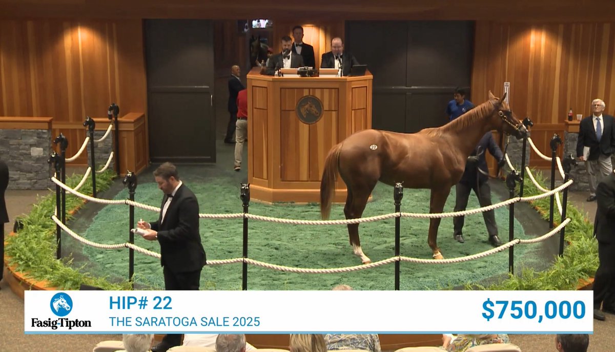 Bodemeister’ın Davona Dale galibi kızı Wholebodemeister’ın Not This Time’dan olan tayı $750,000’a satıldı.