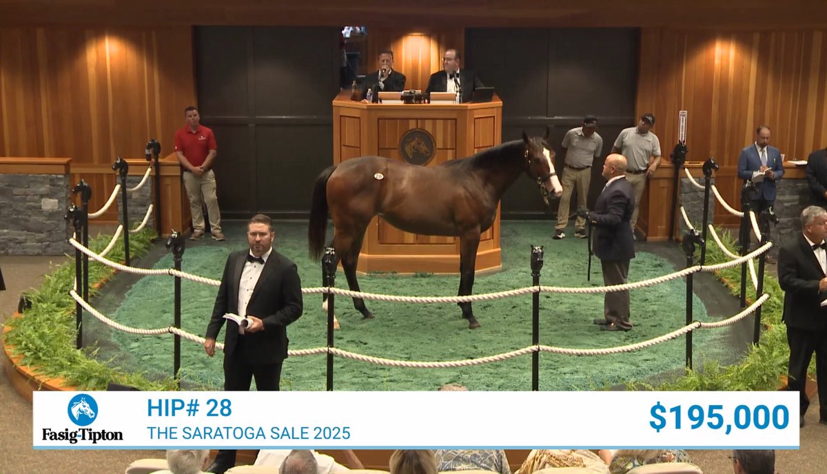 Jack Christopher’ın satışa sunulan ilk yearling yavrusu $195,000’a satıldı.