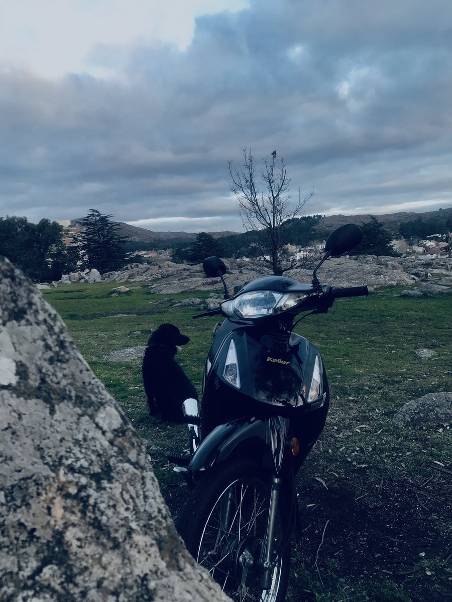 lucasherreera's tweet photo. 🌥🍃🌬 https://t.co/rfSVIUnyuk