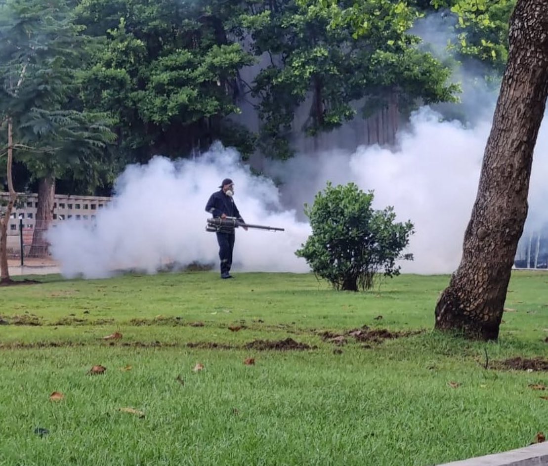 Autoridades sanitarias mostraron preocupación por el incremento en casos de Dengue en el mes de julio, llegando a acumular un total de 8 mil 130 personas afectadas por esta enfermedad. La región metropolitana encabeza las estadísticas con más de 2 mil casos acumulados.