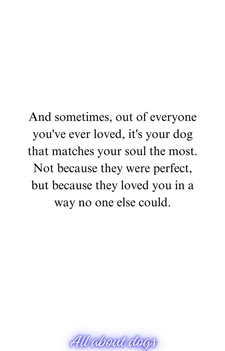 BrownietheDach1's tweet image. 🩷