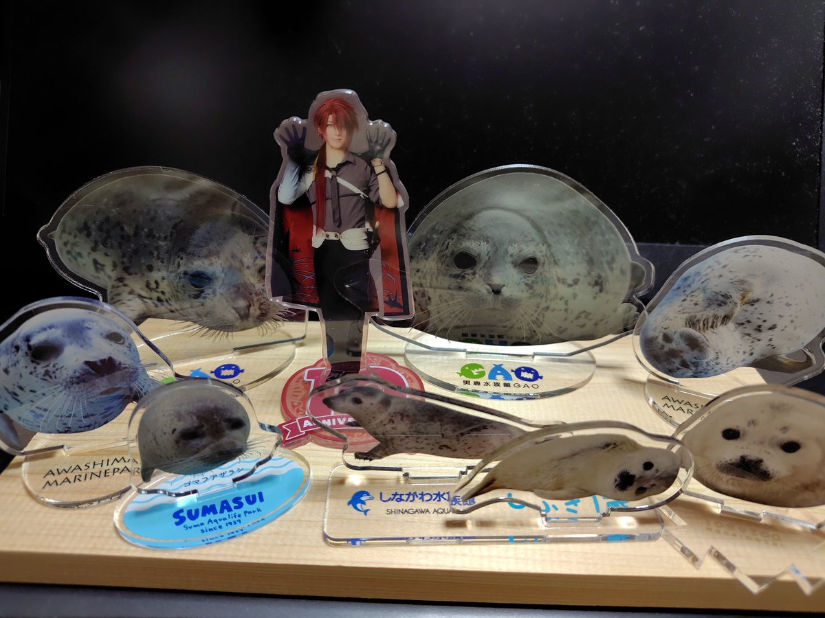 domehimeno's tweet photo. 御縁があってお迎えしたごっちんのアクスタが初めての人型アクスタだったもんで、一緒に飾ると凄い浮いてるな…もう飼育員じゃん…10周年ポーズがご飯おしまいの合図に見えてしまう… https://t.co/7FRZWkirsv