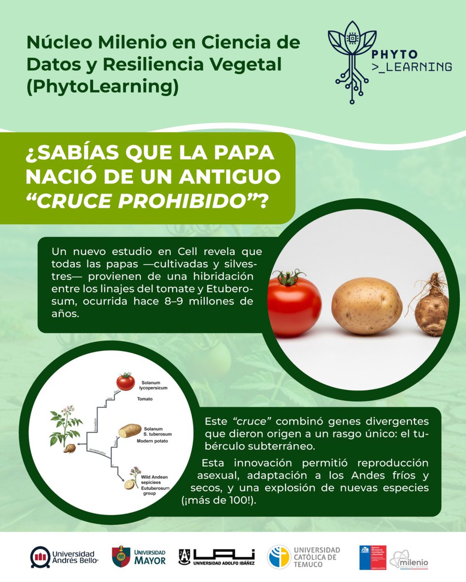 Núcleo Milenio PhytoLearning tweet media