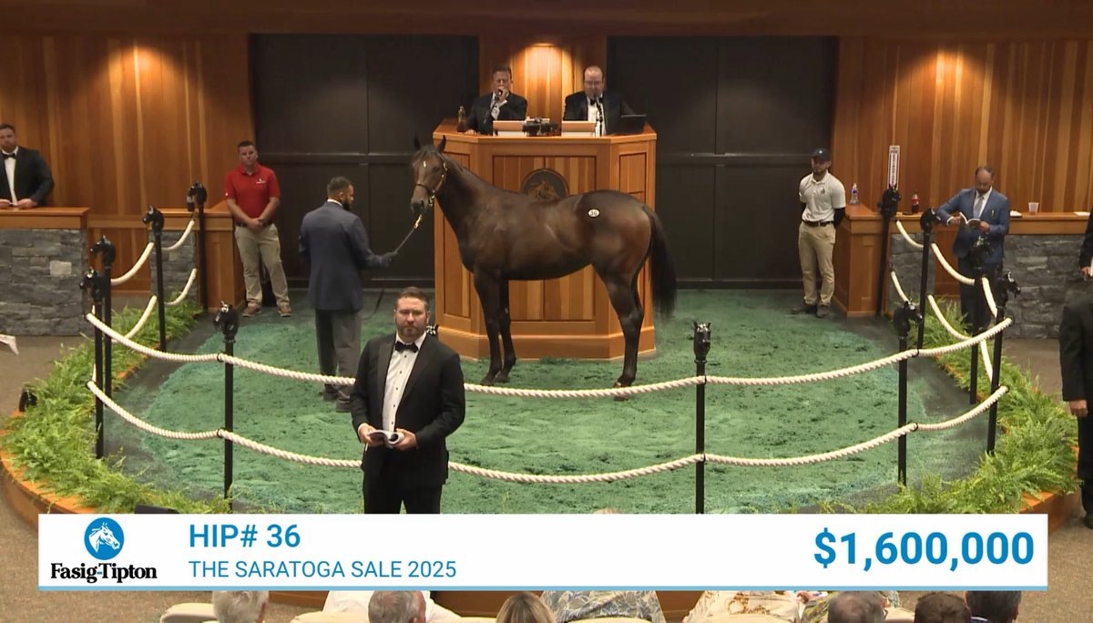 Good Magic’in Alpha Zulu’dan olan erkek tayı $1,600,000 bedelle alıcı buldu.