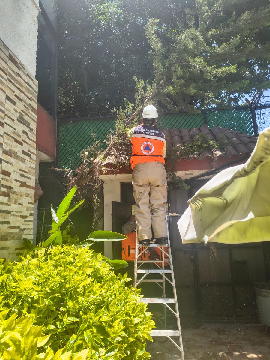 Personal de #ProtecciónCivil360 ayudó con el retiro de un árbol que se encontraba en riesgo de caer dentro de un domicilio en calle Andorra, colonia María del Carmen.
No hay daños al inmueble ni lesionados.
