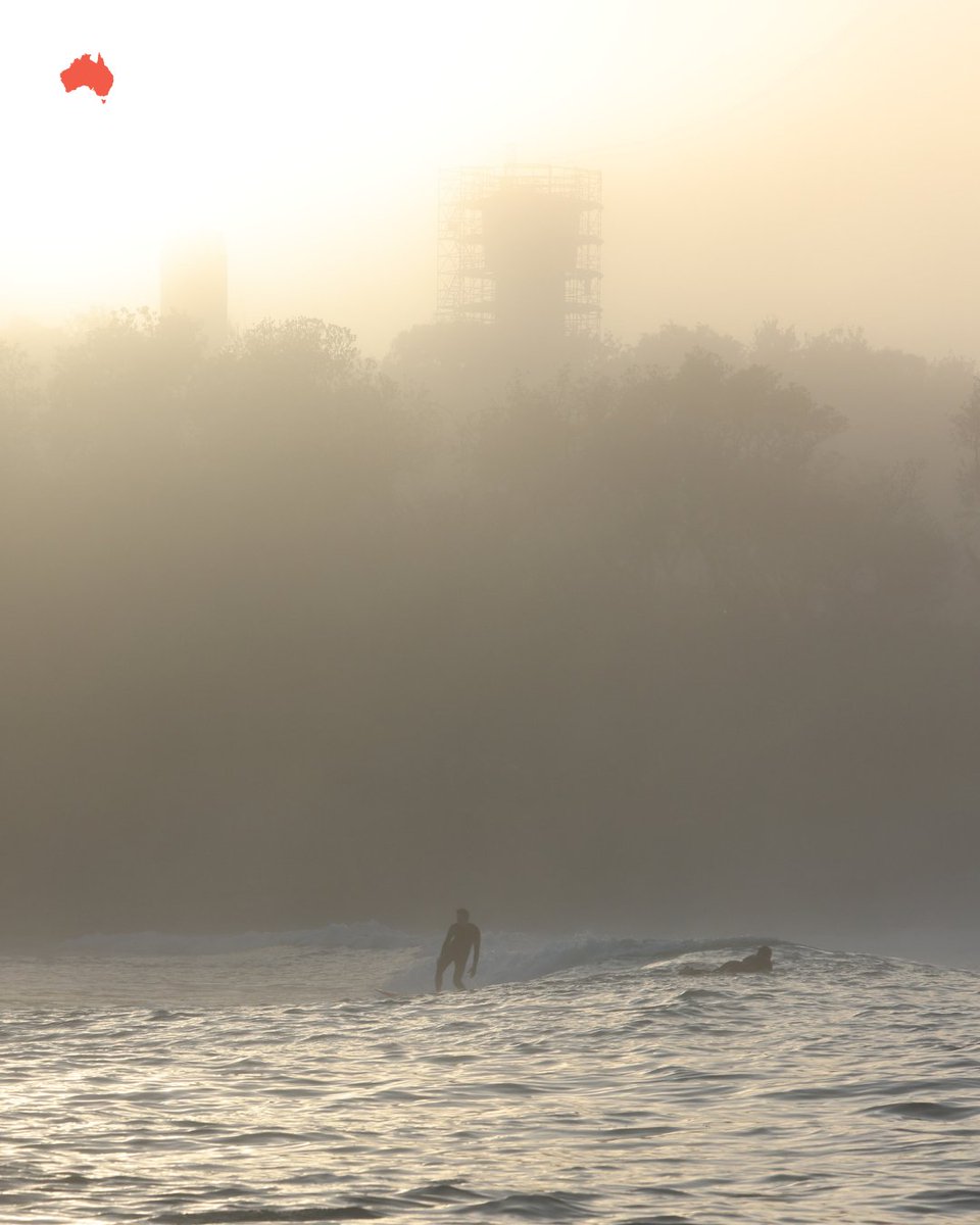 The Australian tweet media