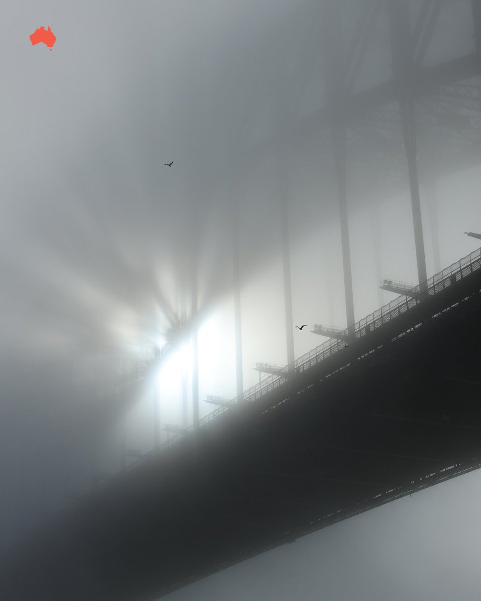 The Australian tweet media