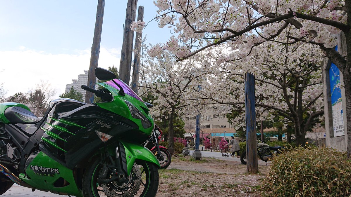 こーちゃんライダー (@kouchi_ciel) / Posts / X