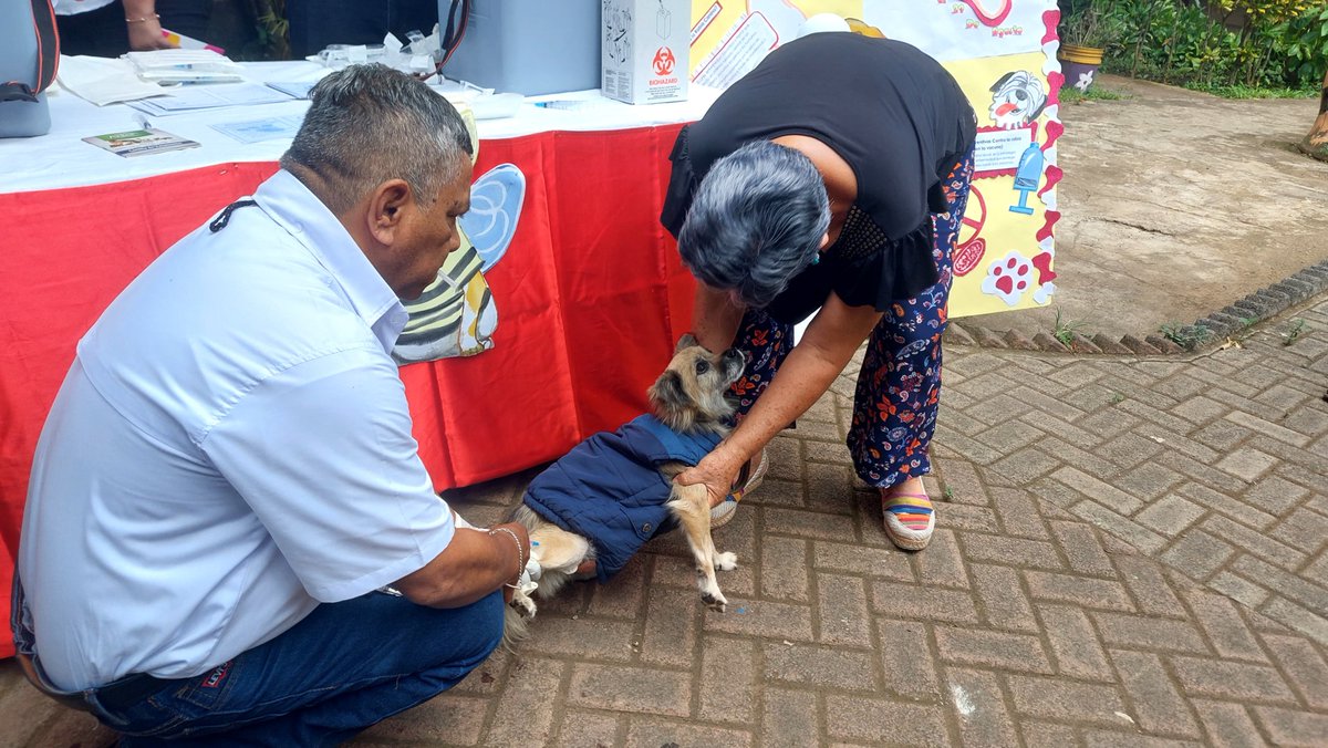 MINSA lanza Campaña de Vacunación Antirrábica Canina 2025 en Ticuantepe
#noticias #nicaragua 
Más información 👉🌐 canal4.com.ni/minsa-lanza-ca…