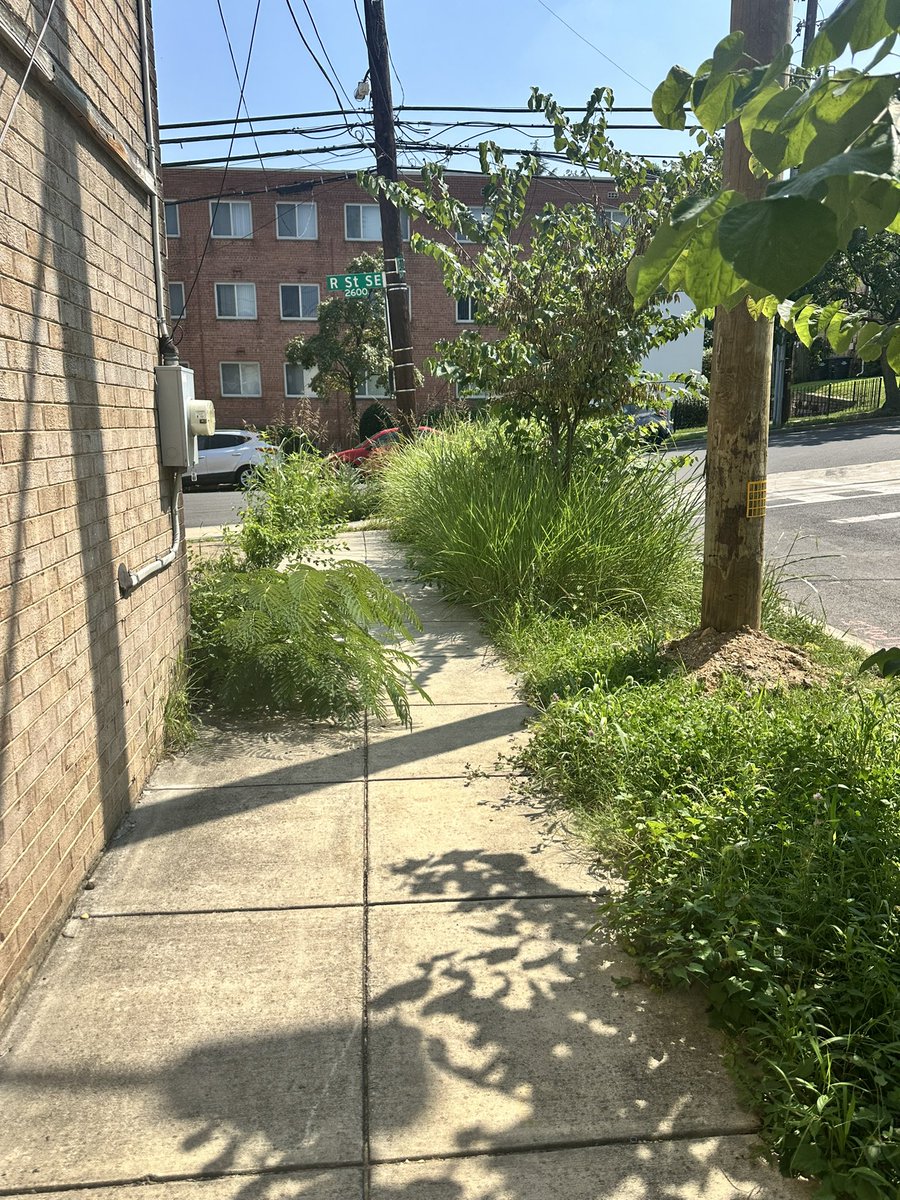 Hey <a href="/DCDPW/">DC Department of Public Works</a>! I wanted to follow up on <a href="/311DCgov/">DC311</a> request 25-00462082. It’s gotten so bad I’ve heard from several neighbors, including 2 just today. The property is not just unsightly but attracting rodents to our community, and making it impossible for cars on 26th to safely turn.