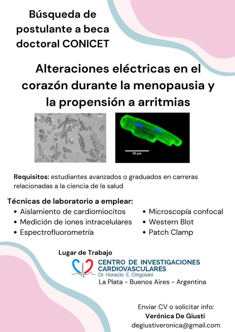 Búsqueda de postulante a Beca doctoral 

🤓Buscamos estudiantes avanzadxs o graduadxs en carreras relacionadas a la salud para postularse a la beca doctoral CONICET en el marco del proyecto "Alteraciones eléctricas en el corazón durante la menopausia y la propensión a arritmias"