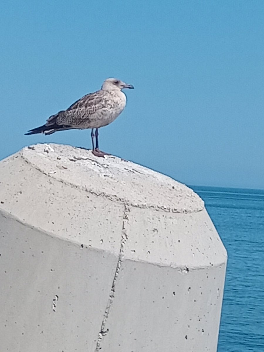 Onur (@onur41486526323) on Twitter photo 