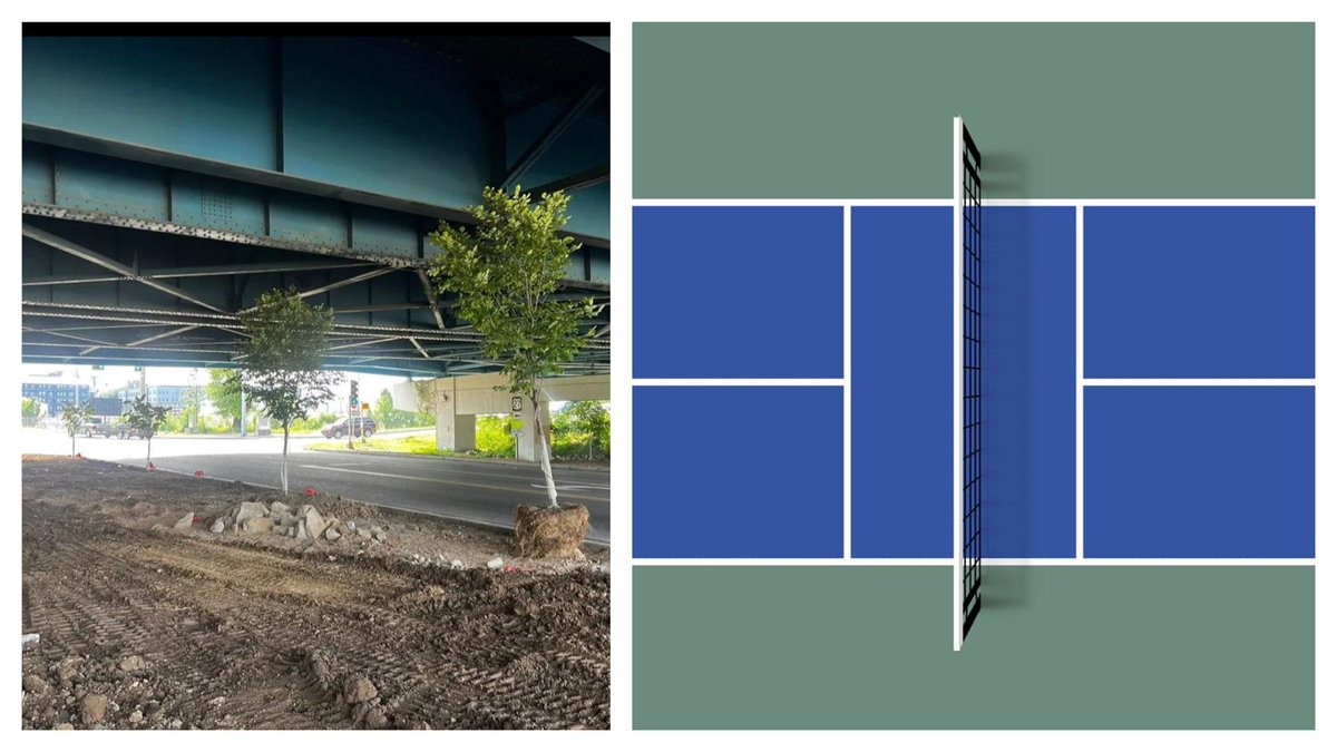 BREAKING: City officials announce weird trees under overpass are just phase one of the new urban pickleball court