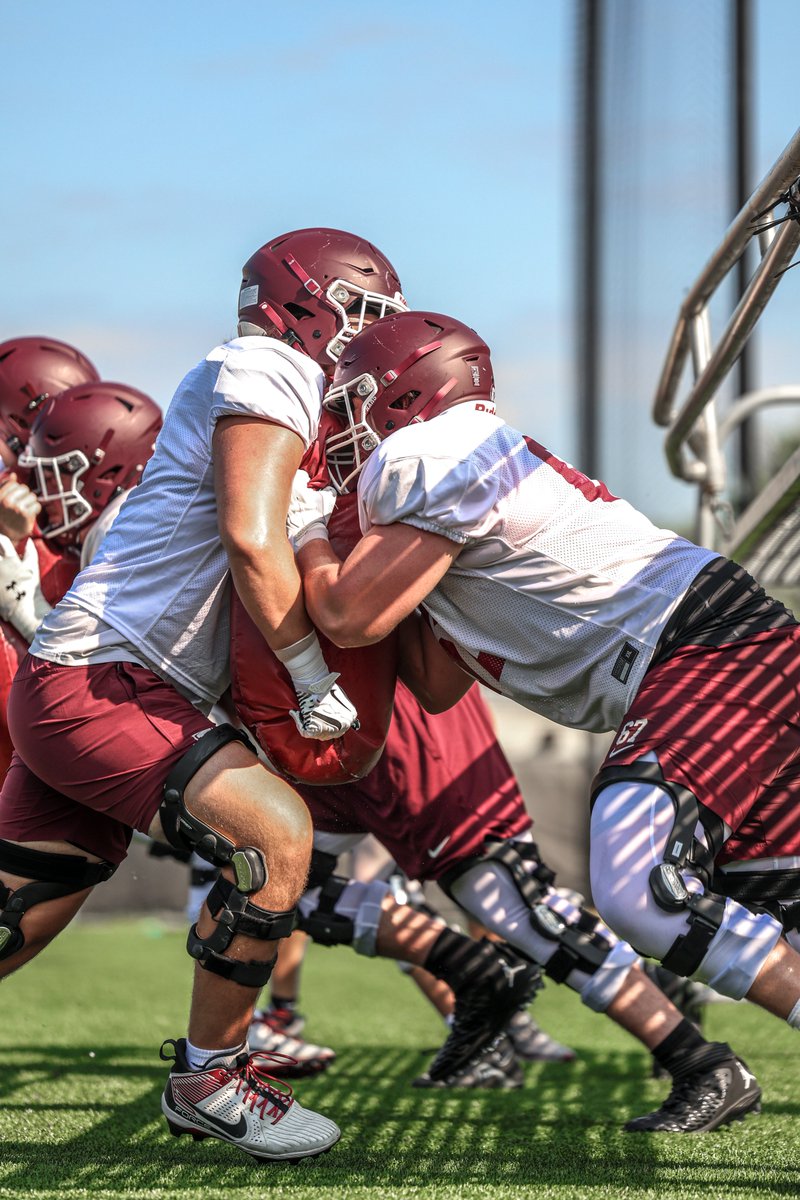 Steven Ciocci tweet media