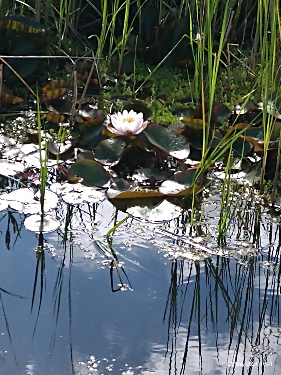 Volunteer Update and Activities: August 2025 - mailchi.mp/2e7828ca7828/v…