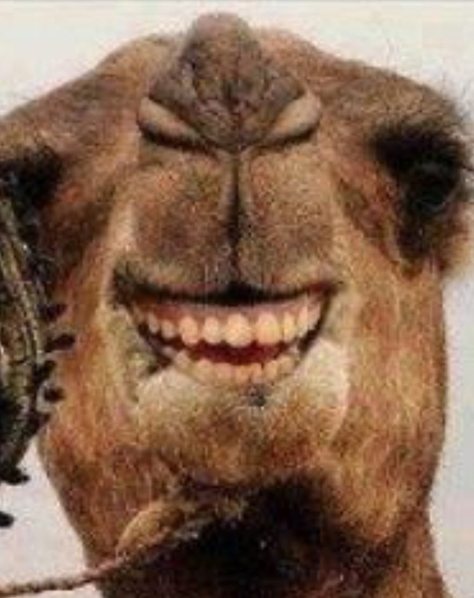 the new mooncarl 

but slightly more retarded ig