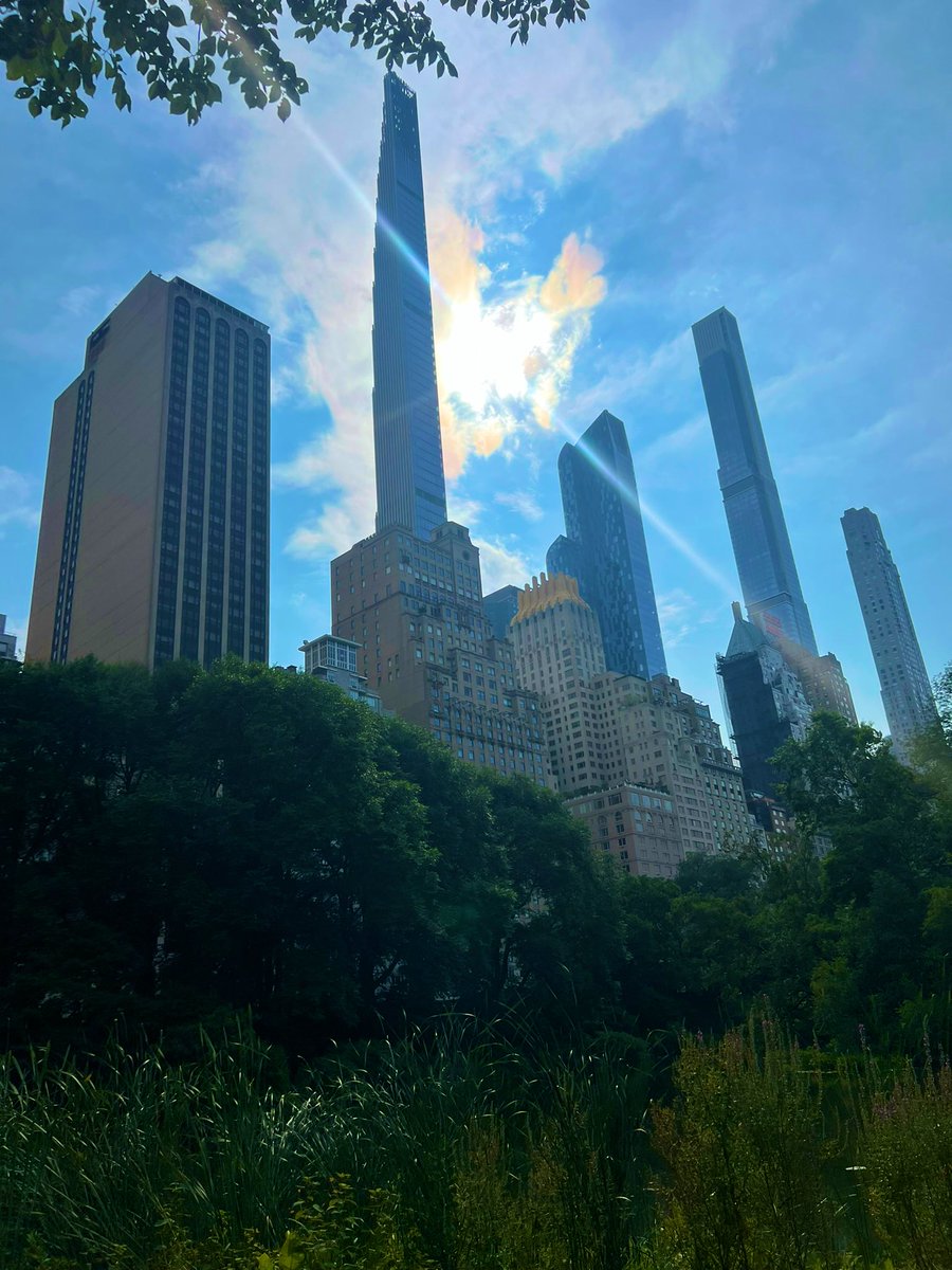 SarcasmIsOrgasm's tweet image. Some day 🏠🤞🏻