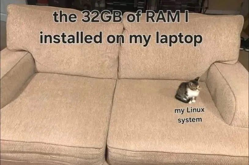 bashbunni tweet media