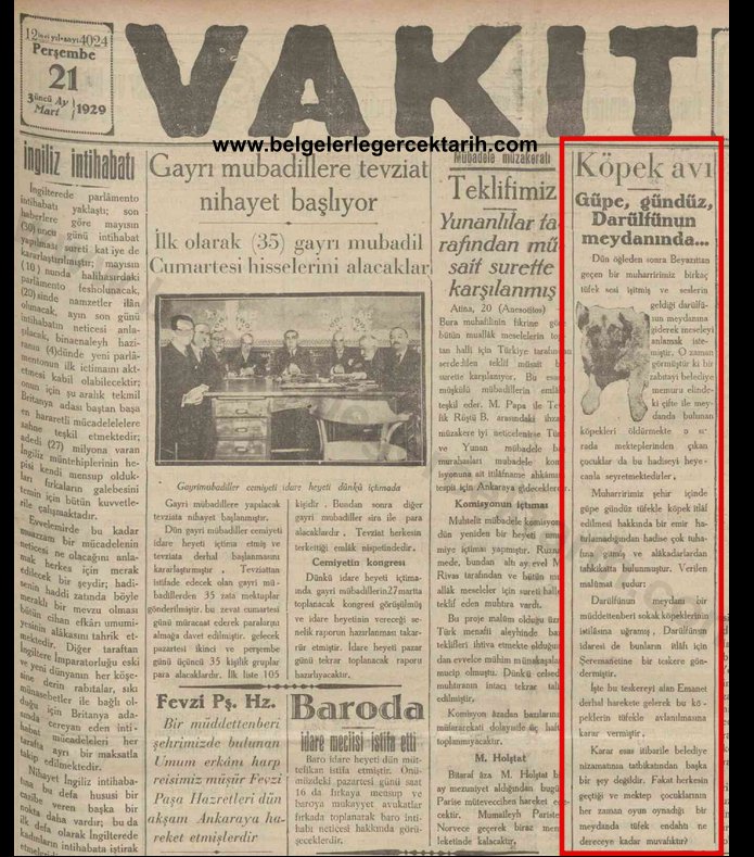 .
1929 yılında yani Atatürk döneminde Üniversite meydanı köpekler tarafından istila edilince, belediyeye haber verilmiş. Belediye de bir zabıta memuru görevlendirip köpekleri güpe gündüz tüfekle avlatmış.

Atatürkçü hayvan severler nerede?