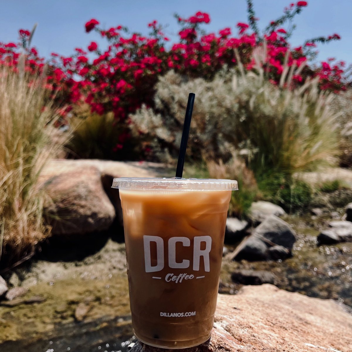 Make it daily. Serve it cold. Sip with joy.
Stop by the Dillanos retail shop and pick up all the supplies you need to make coffee at home— just like barista’s! Then treat yourself to an iced latte today—you’ve earned it.